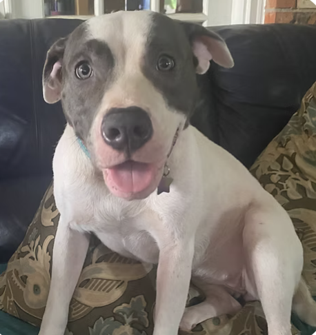 Sunny Mae | Best Smile | Kirsten Thurston logo