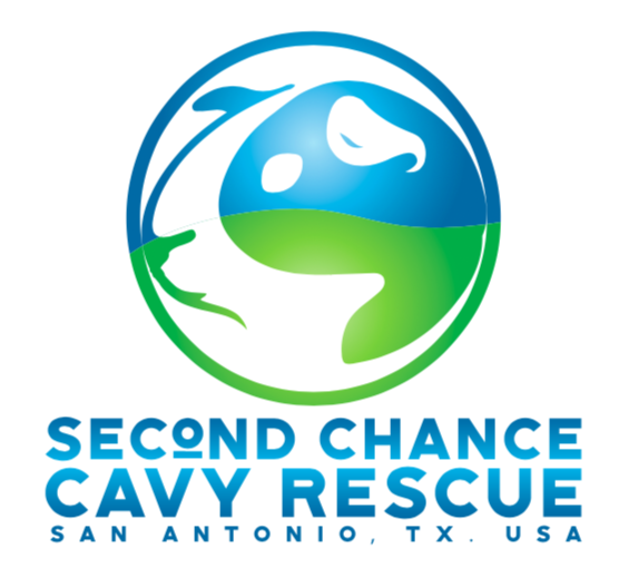 Second Chance Cavy Rescue