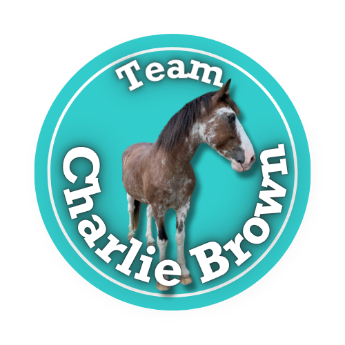 Team Charlie Brown logo