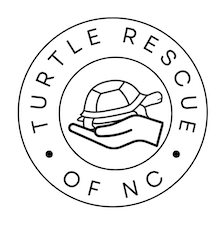 Turtle Rescue of NC