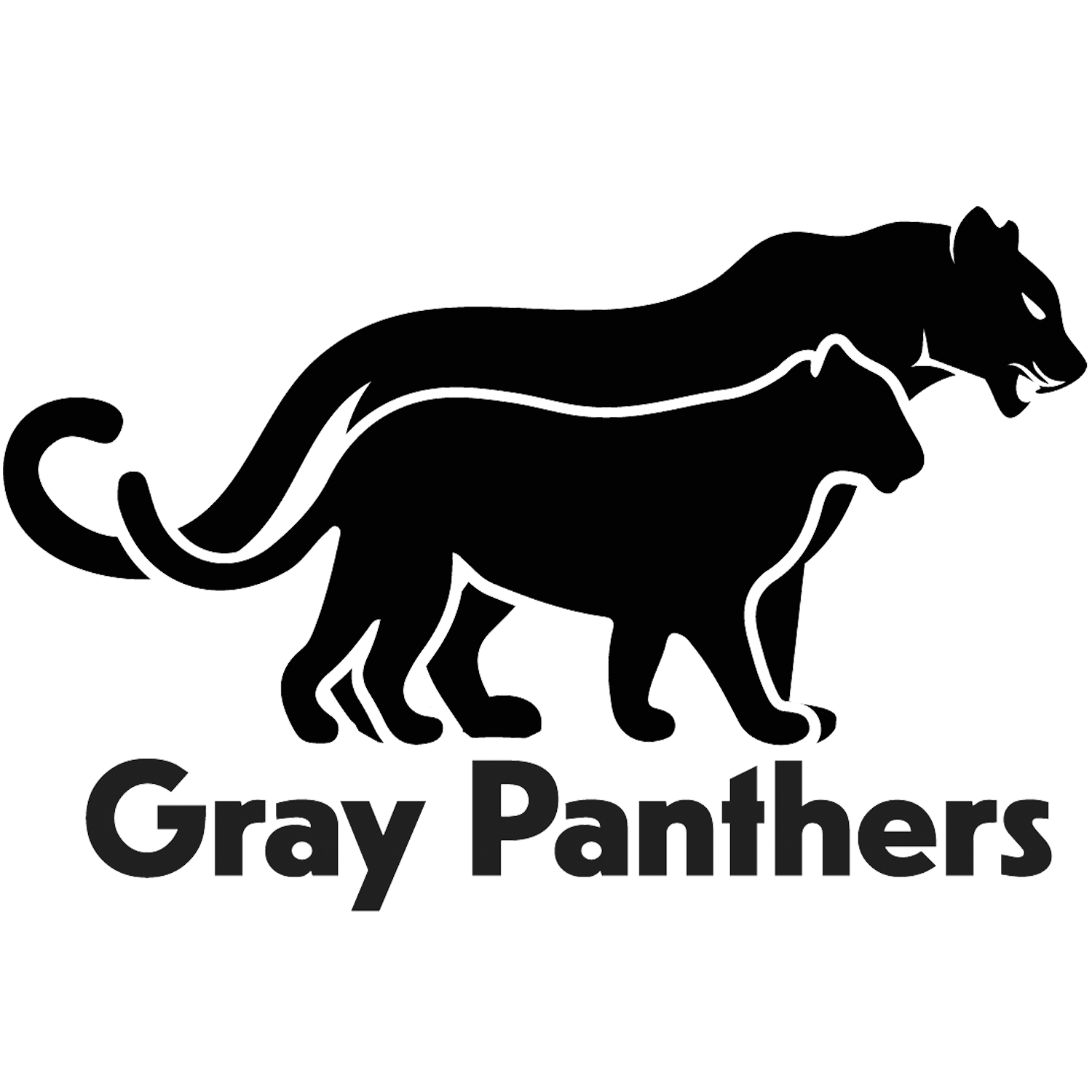 Gray Panthers NYC