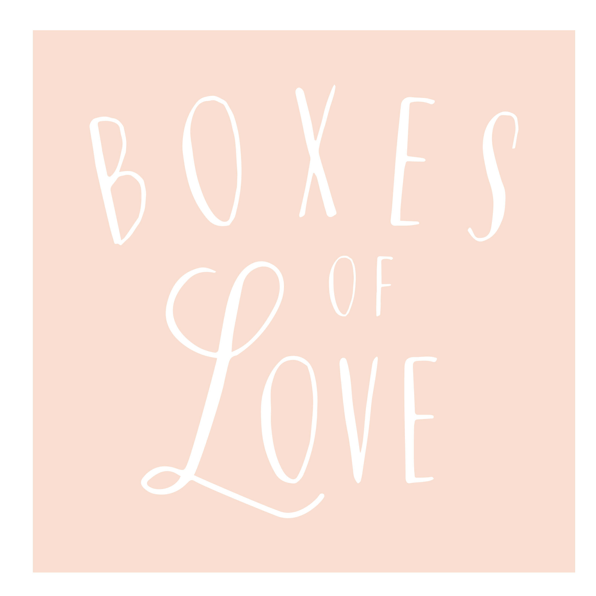 Boxes of Love Project Inc