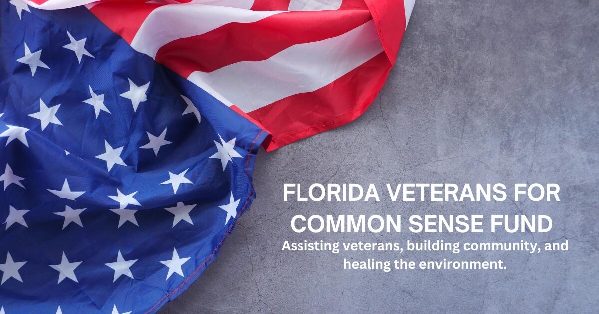 Florida Veterans for Common Sense Fund Inc