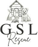 Gsl Rescue
