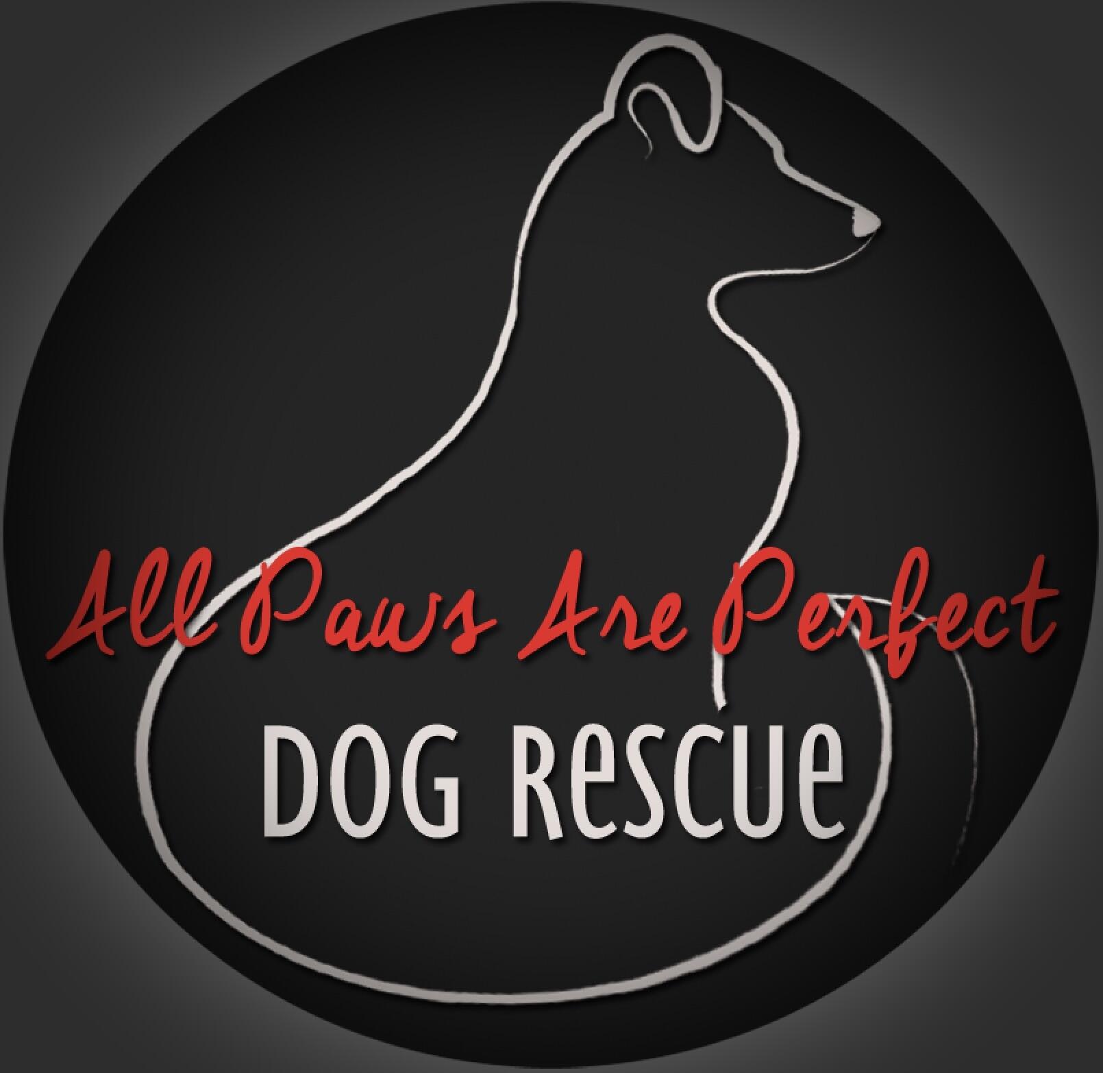 All Paws Are Perfect Rescue