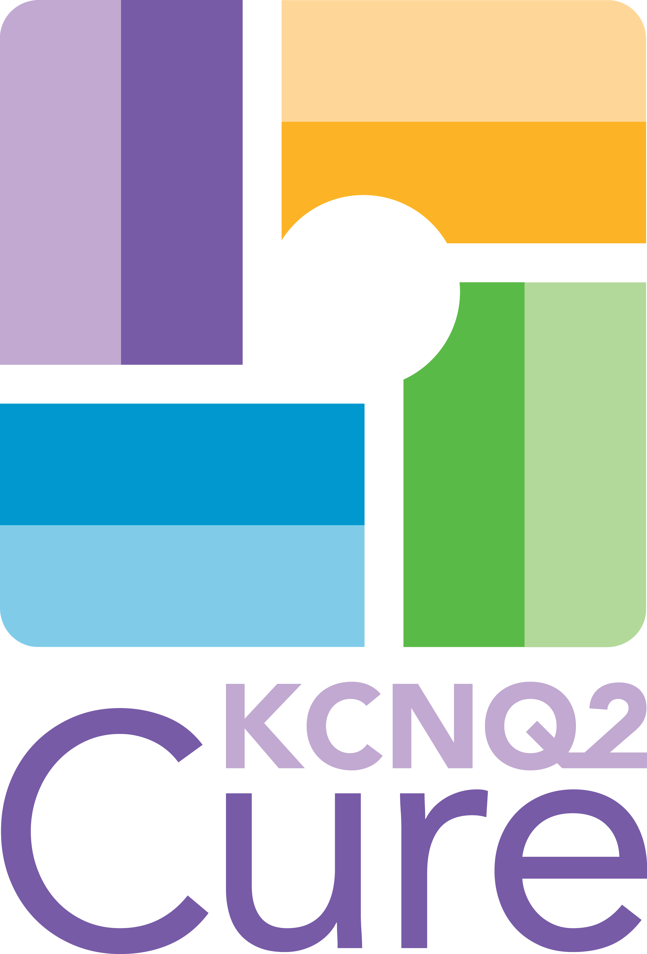 KCNQ2 Cure Alliance Inc