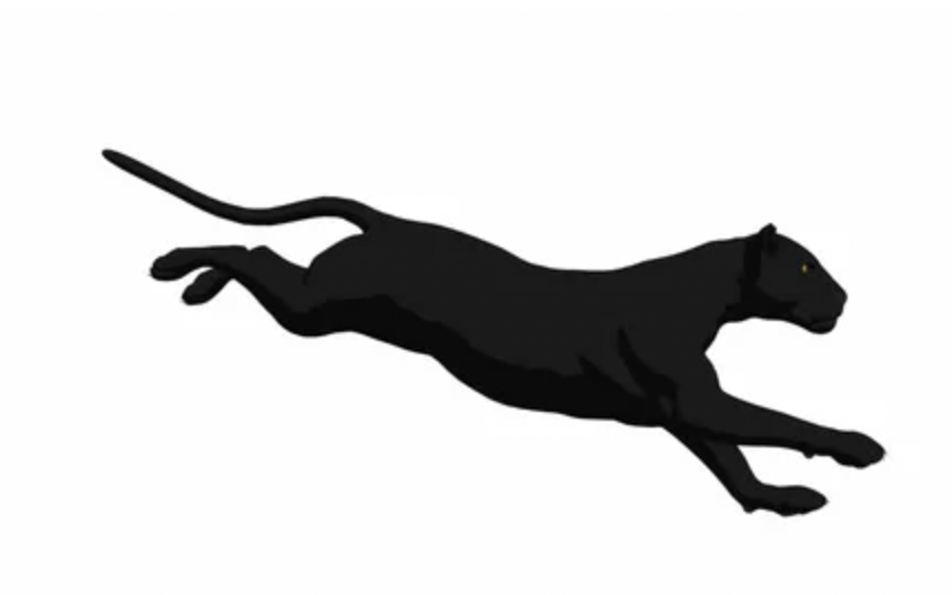 PANSteras logo