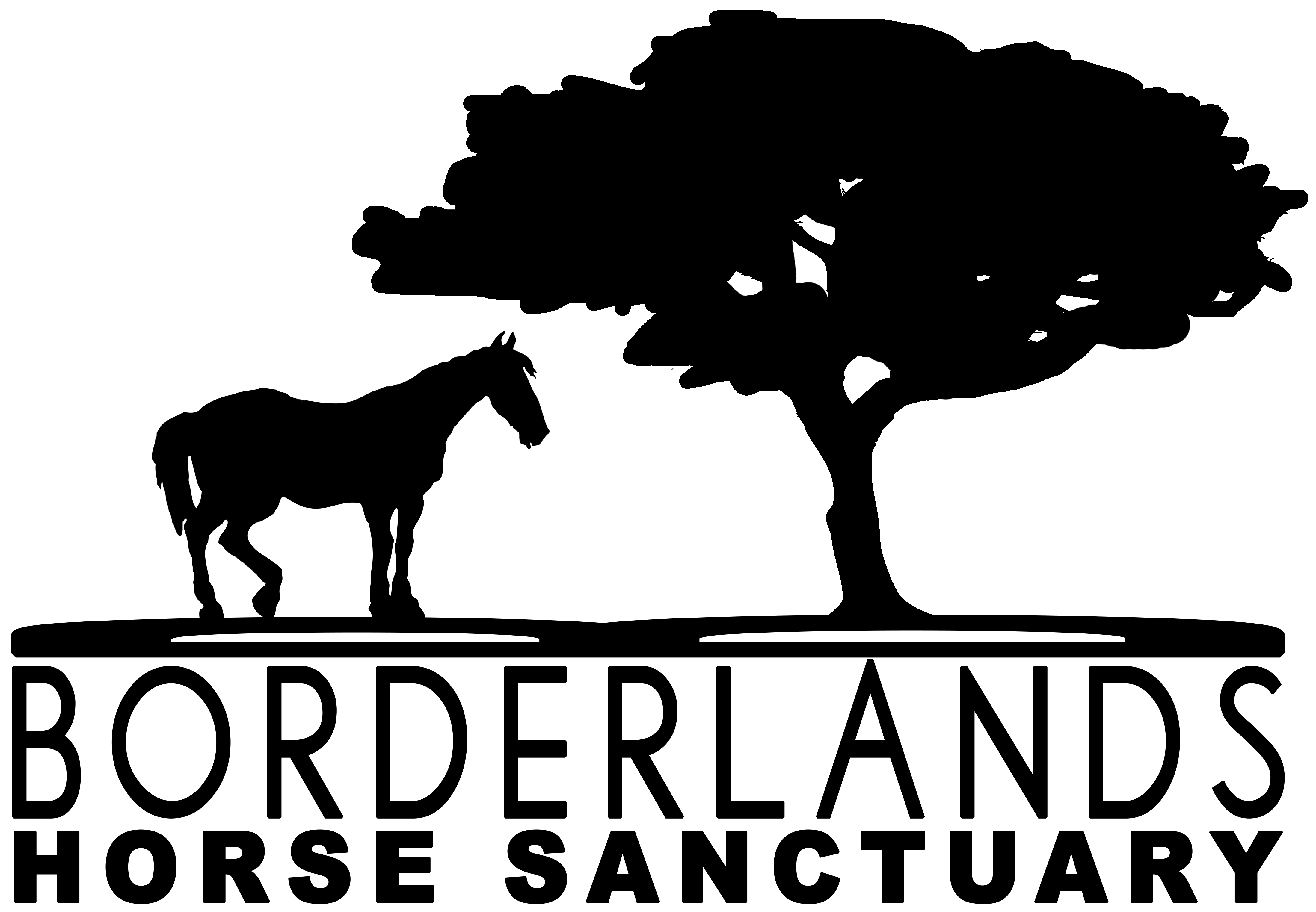 BORDERLANDS HORSE SANCTUARY