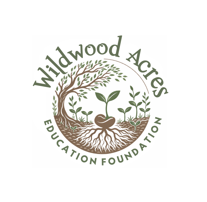 Miss Lynsey's Class logo