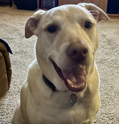 Sadie | Best Smile | The Hogue Family logo