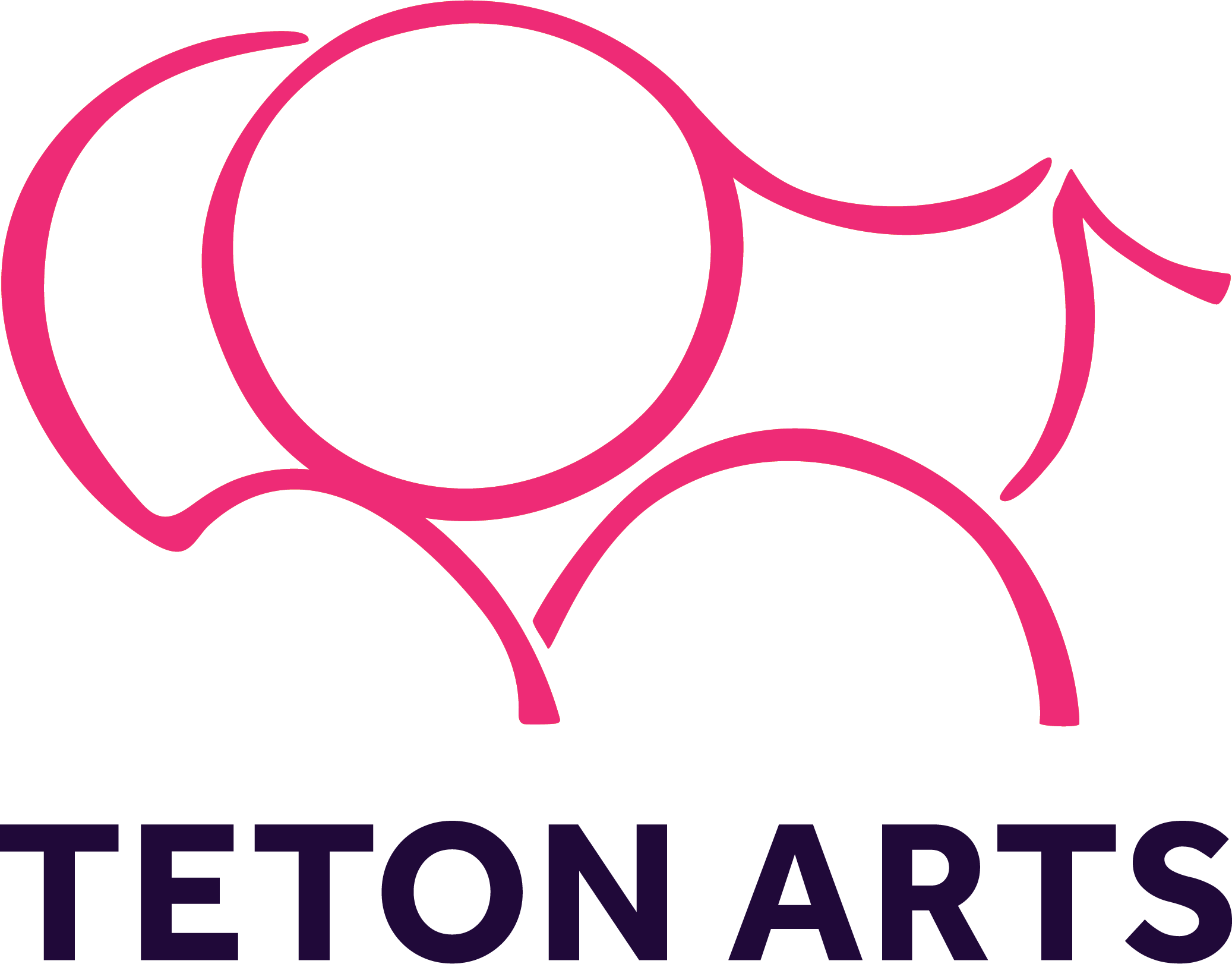 Teton Arts Council