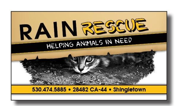 Rain Rescue