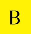 Team Bergmeyer logo