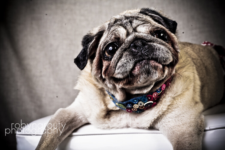 Cindy Rothermel avatar