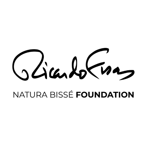 Ricardo Fisas Natura Bissé Foundation