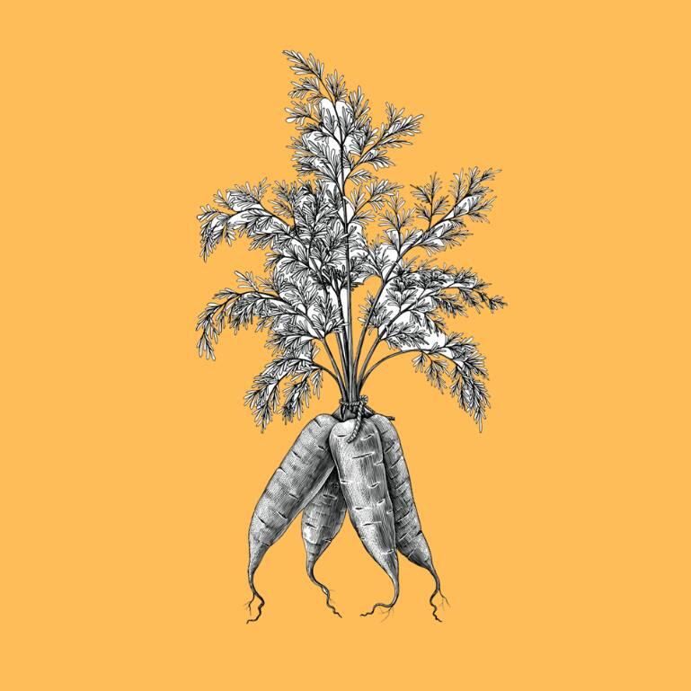 New Jersey Farmers Cooperative