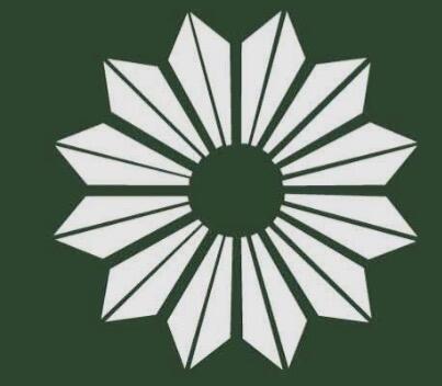 Community Options logo