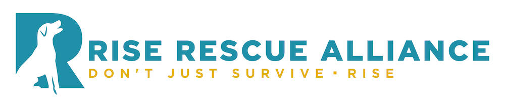 Rise Rescue Alliance