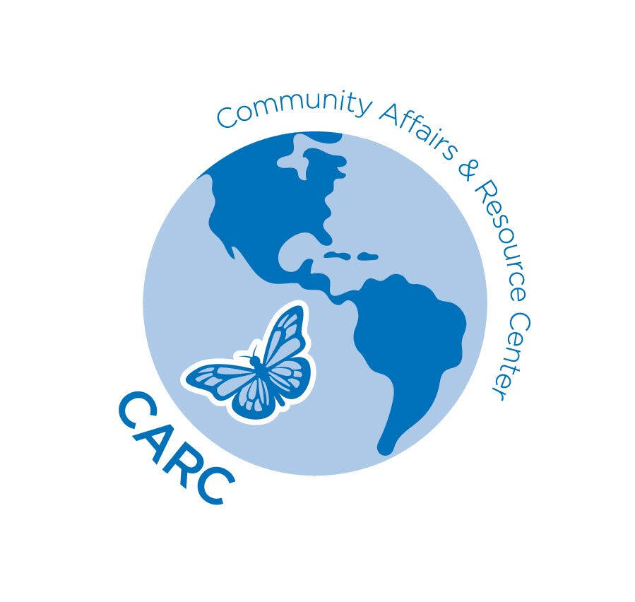 Ari Team logo