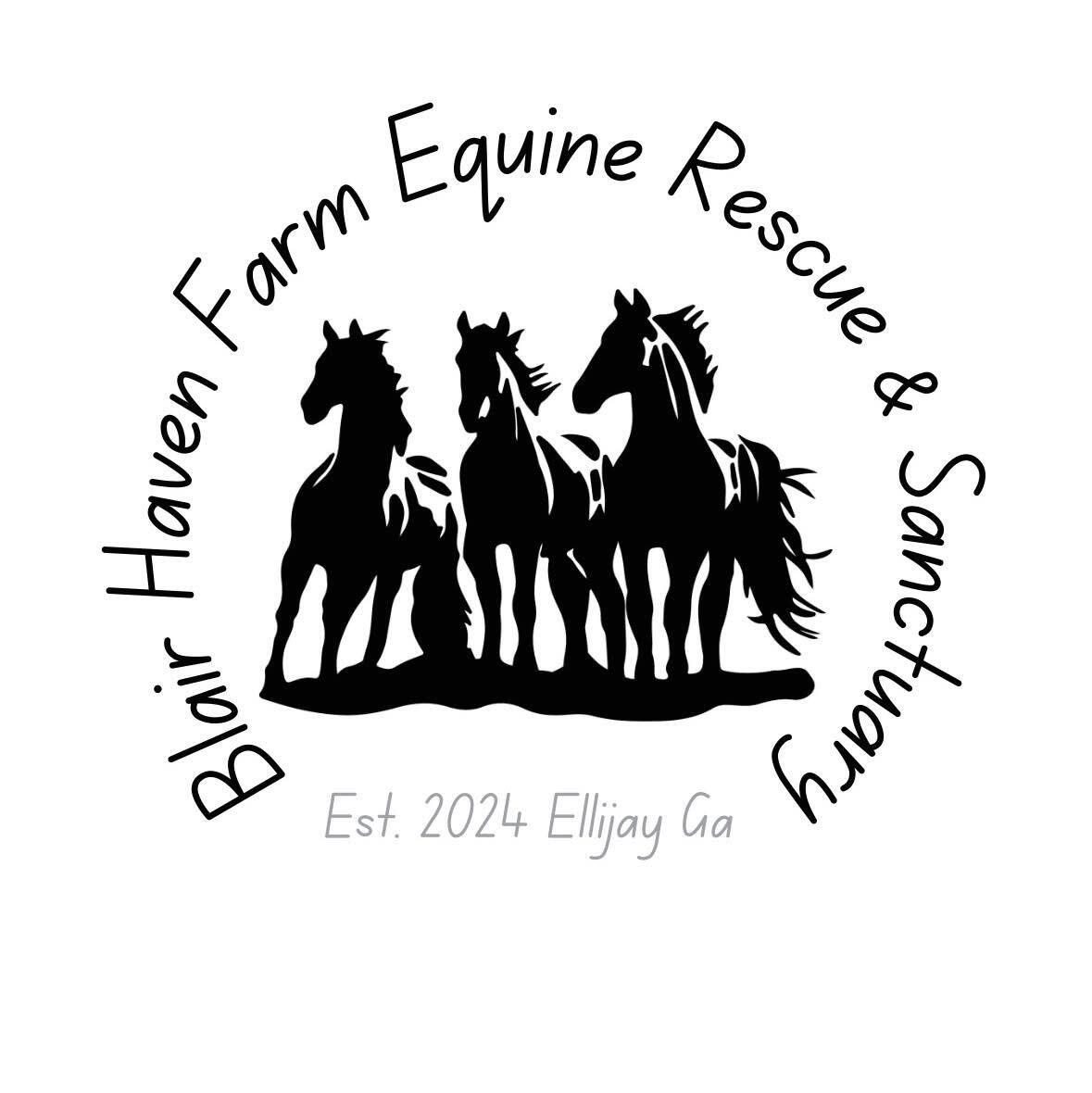 Blair Haven Farm Equine Rescue & Sanctuary Corporation