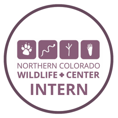Interns logo