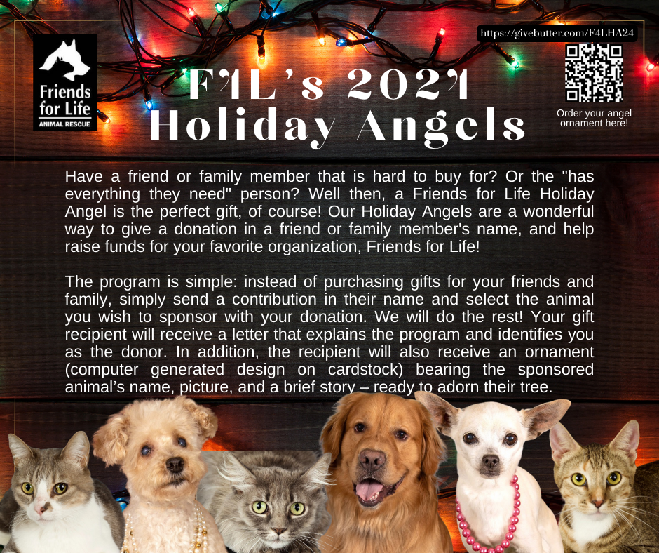 Near Me Friends For Life Animal Rescue Forever Friends Animal