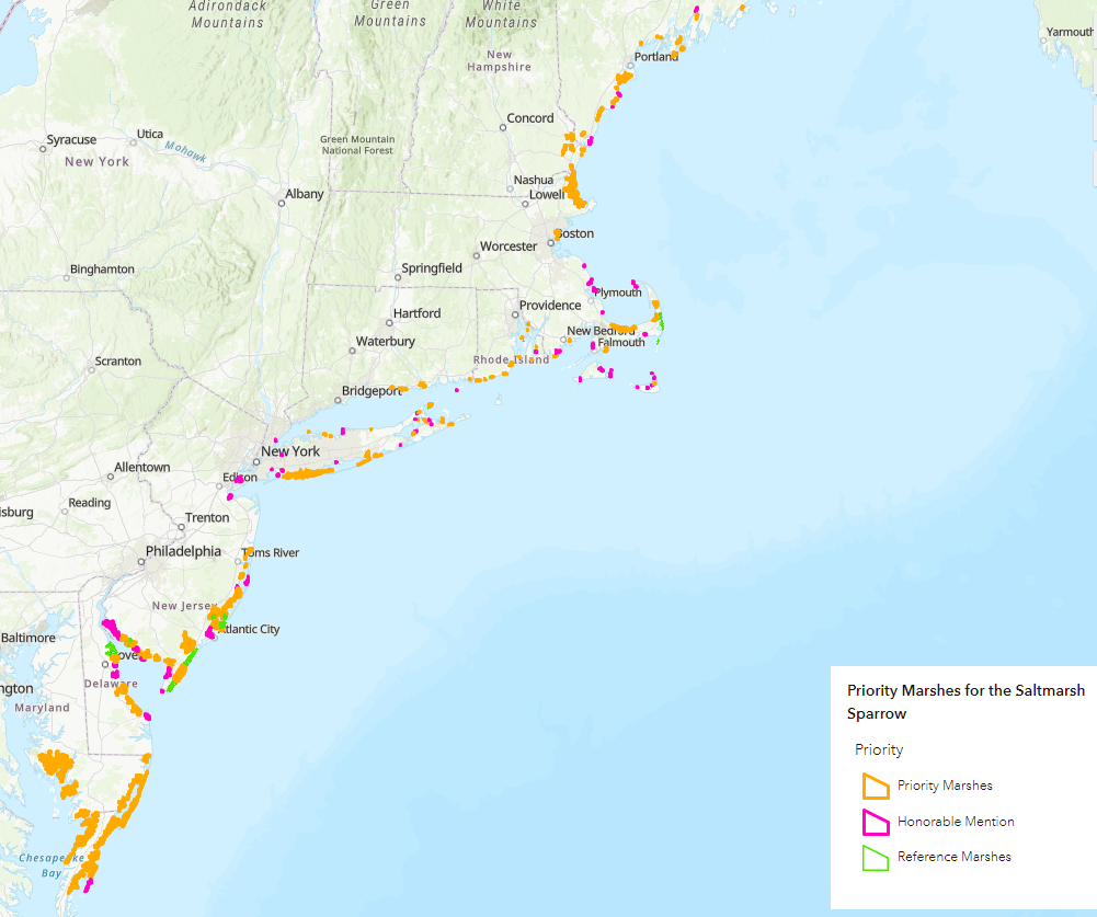 Priority marshes for the Saltmarsh Sparrow in Maine, New Hampshire, Massachusetts, Rhode Island, Connecticut, New York, New Jersey, Delaware, Maryland, and Virginia.