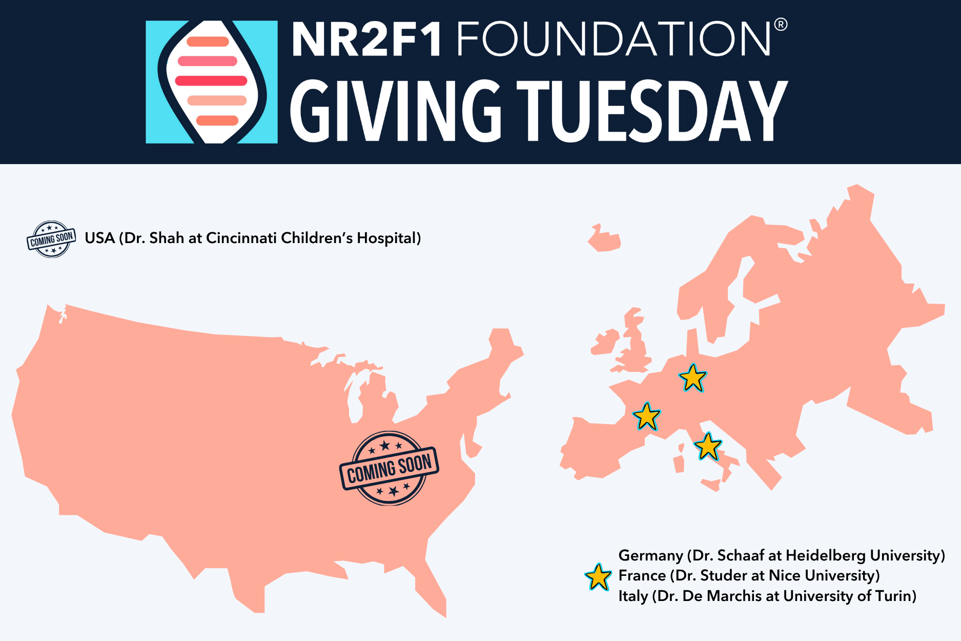 Giving Tuesday 2025 - “From Fly to Function” | NR2F1 FOUNDATION