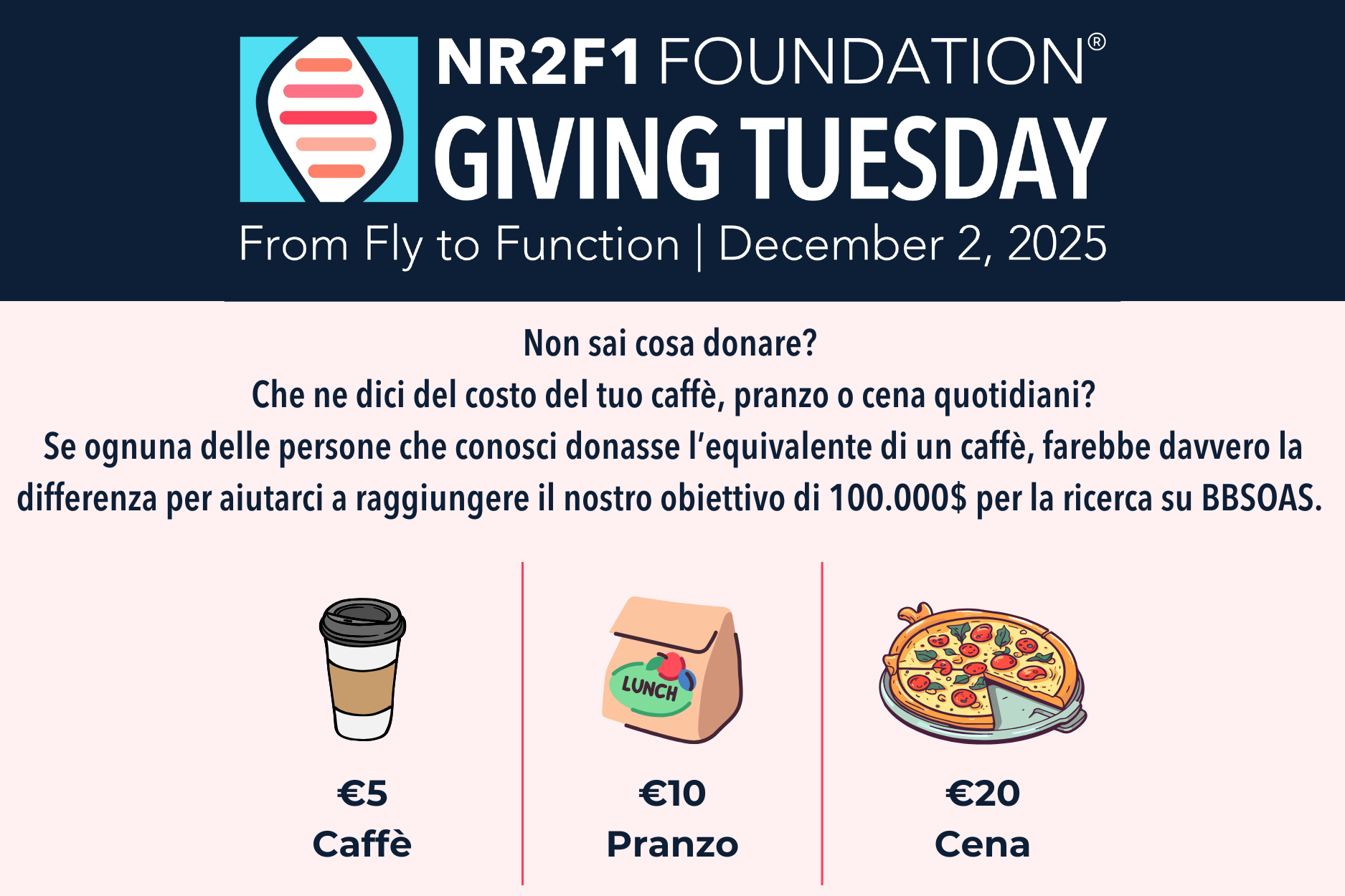 Giving Tuesday 2025 - “From Fly to Function” | NR2F1 FOUNDATION