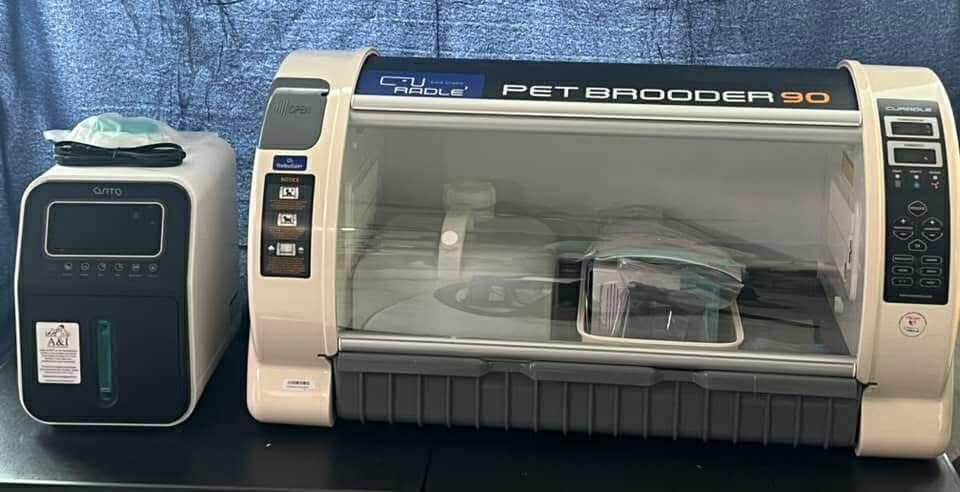 Kitten Incubator Rcom