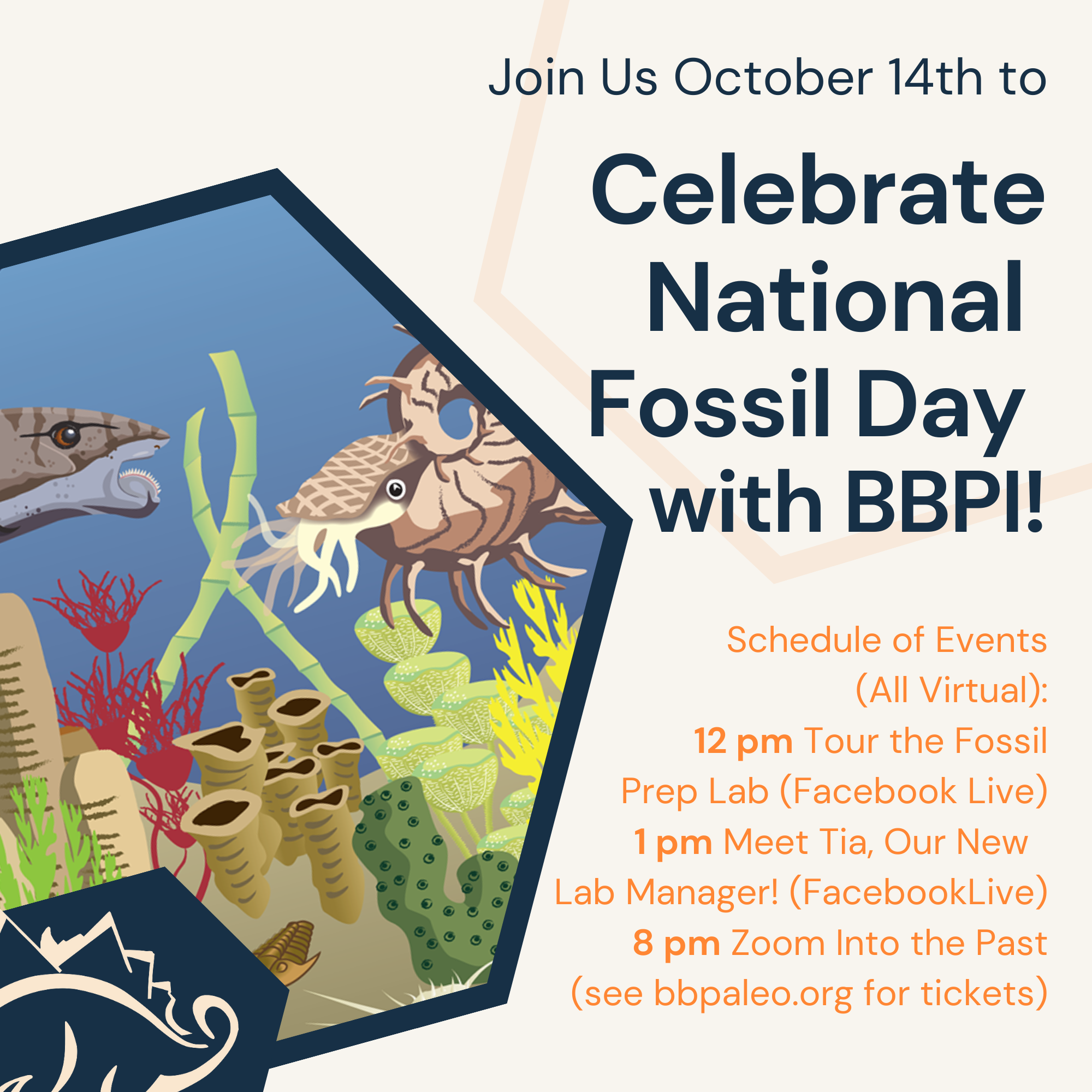 National Fossil Day! LIVE!