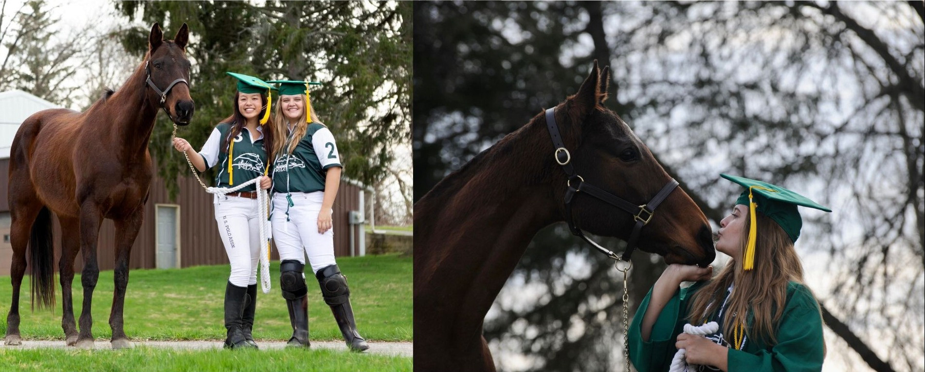 Canva custom creation