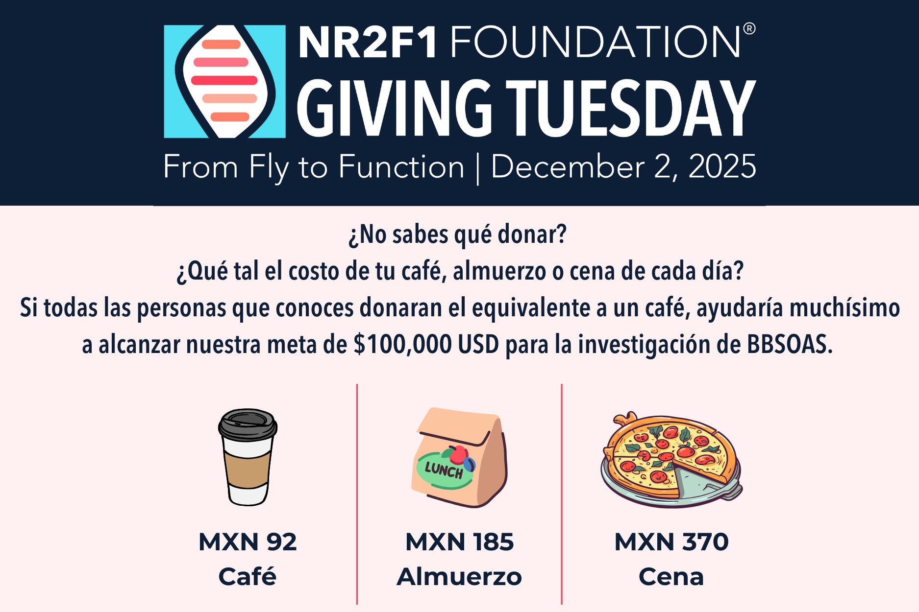 Giving Tuesday 2025 - “From Fly to Function” | NR2F1 FOUNDATION