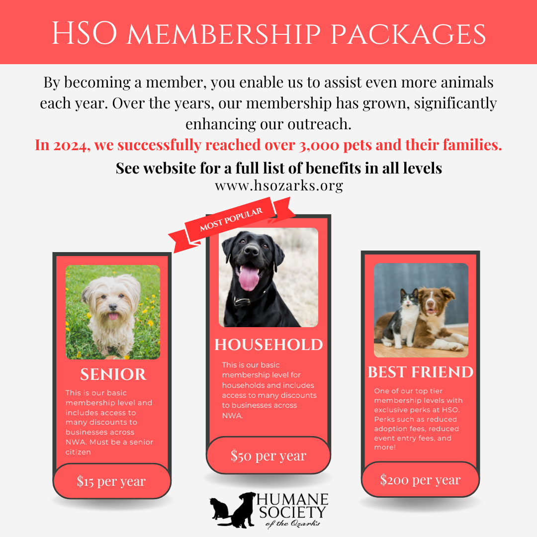 Membership Packages-2.png