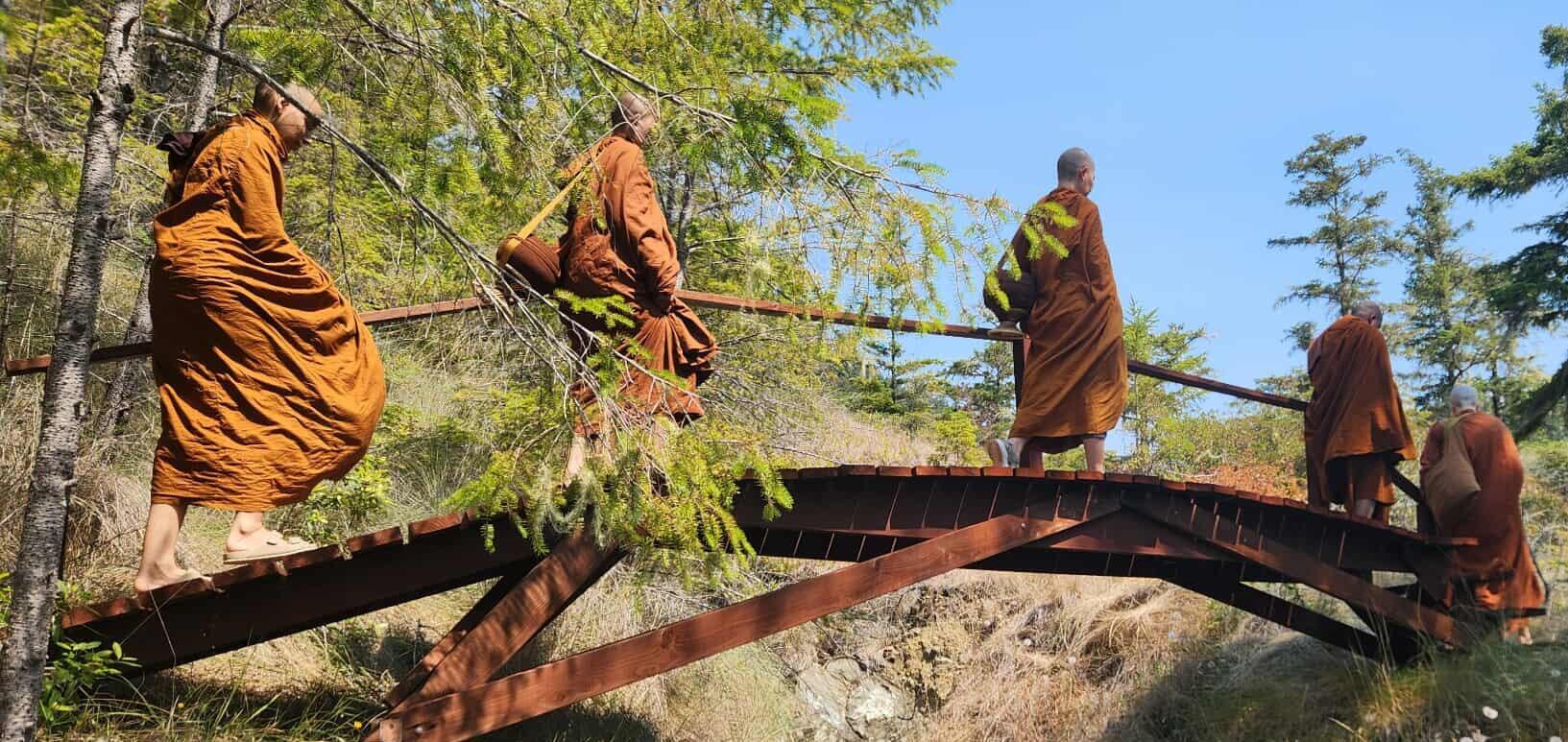 Bhikkhunis walking for alms round in the forest